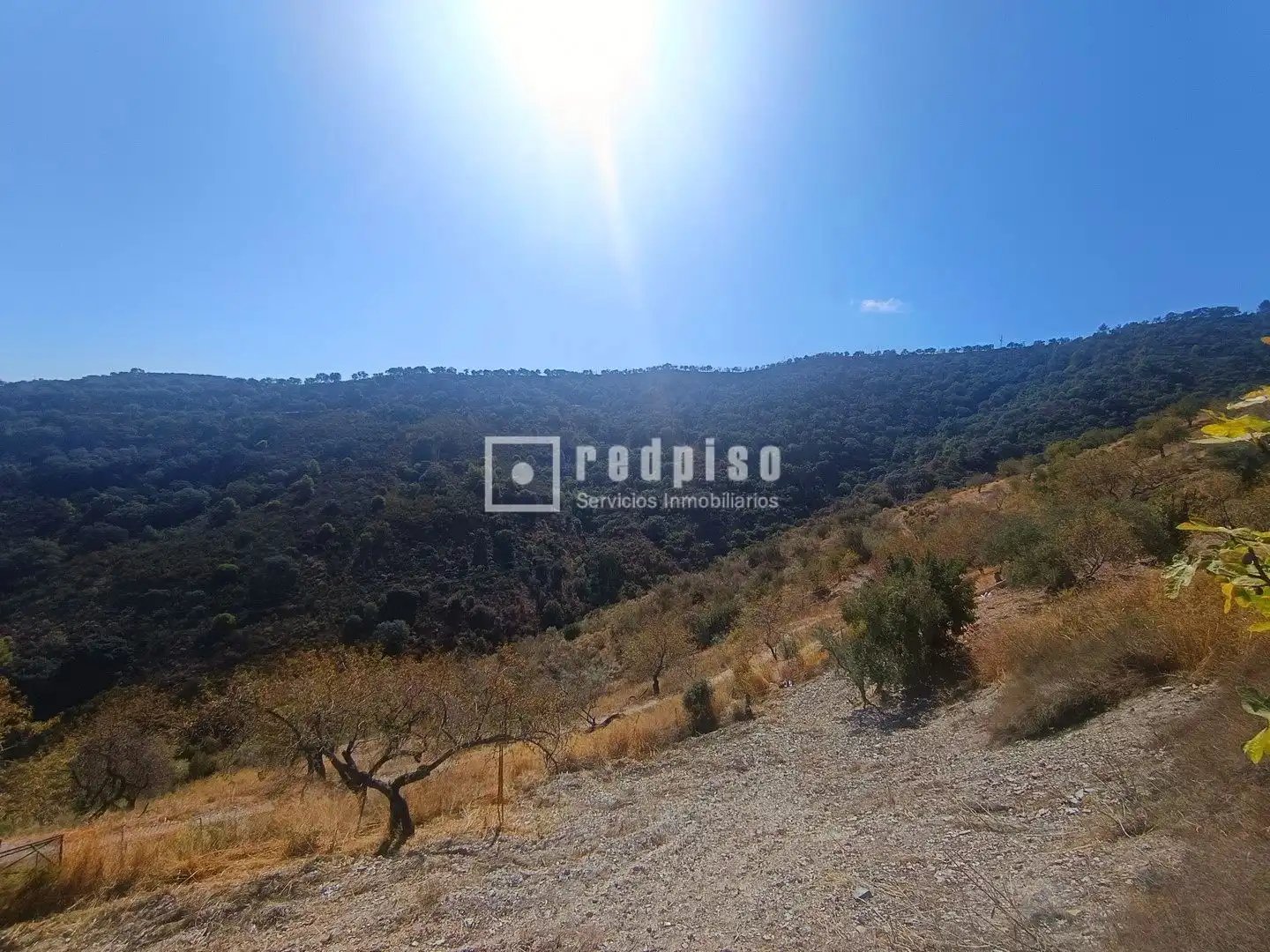 Residencial en venta en Málaga Capital