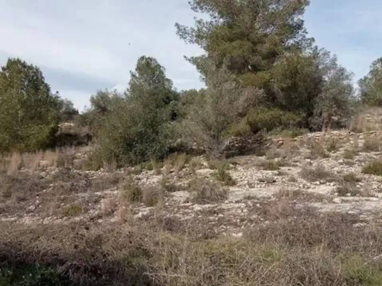 Terreno en venta en Guadasséquies