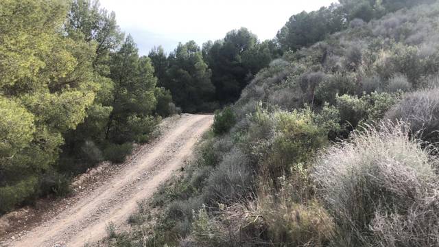 Terreno en Venta en  Lorca, 0 en Puntarrón