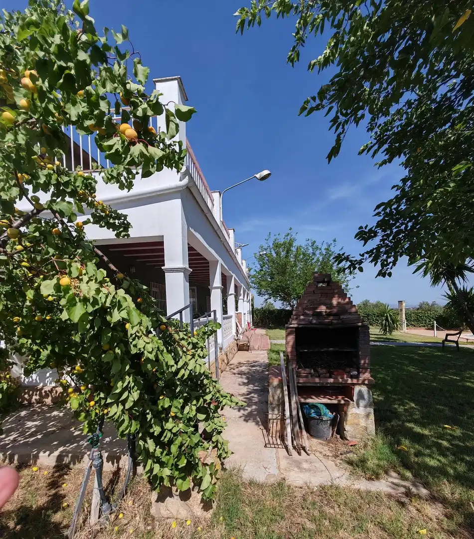 Jardín de Casa o chalet en venta en Guareña con Terraza y Piscina
