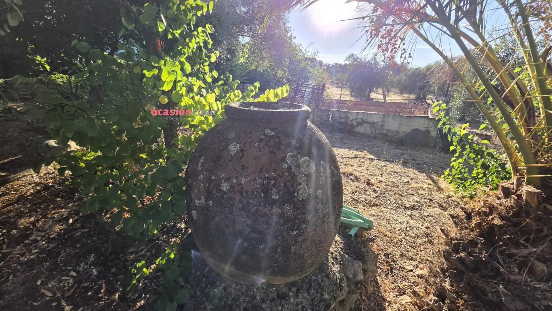 Wohnbaugrundstück zum Verkauf in La Granjuela, imagen 14