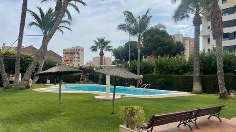 Foto 4 de Casa o xalet en venda a Calle de Los Deportistas Hermanos Torres, 9, Albufereta, Alicante