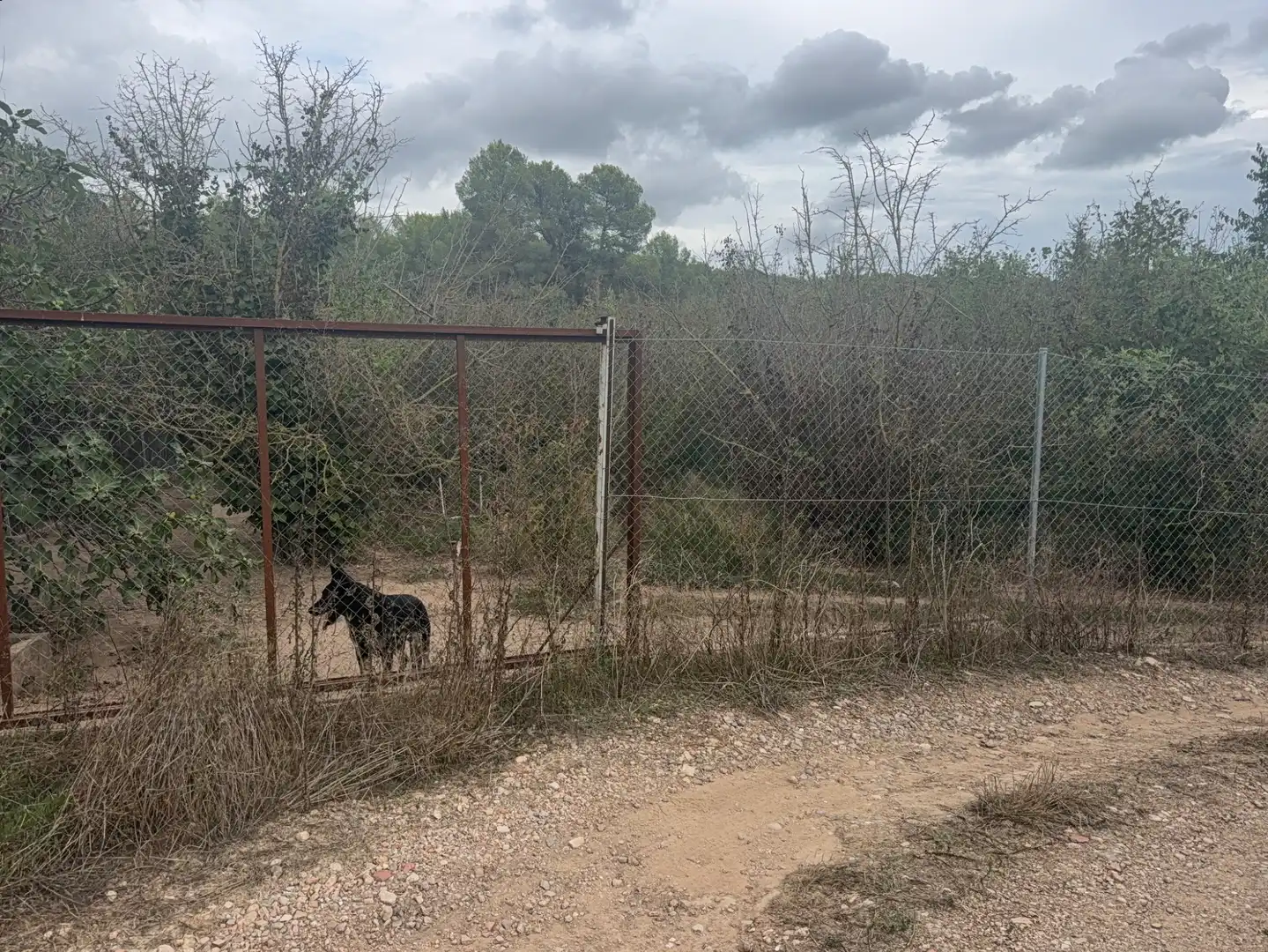 Terreny rústic en venda a Carretera del Catllar 22