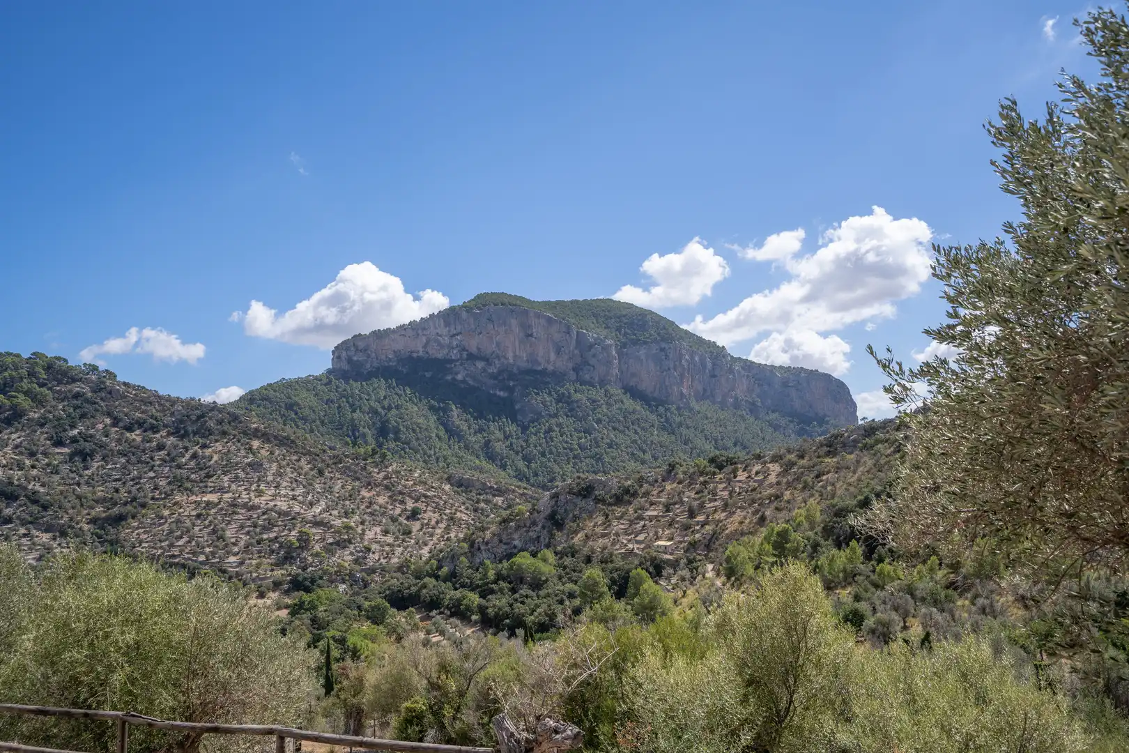Country house for sale in Bunyola, imagen 5