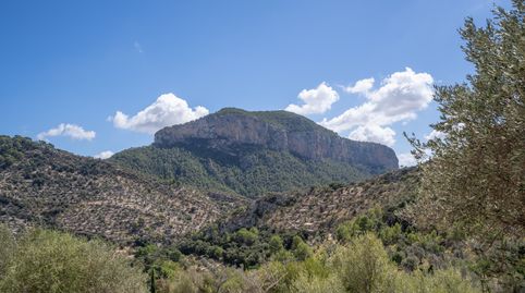 Foto 5 de Finca rústica en venta en Bunyola, Illes Balears