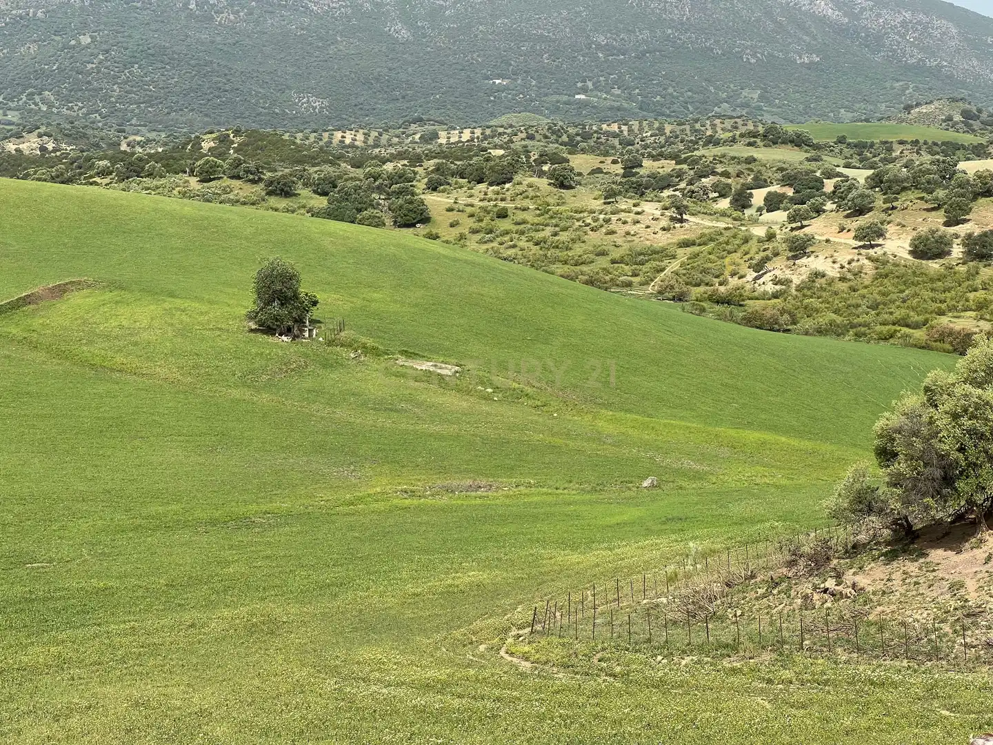 Casa in vendita a Olvera, Spain Polígono 24 Parcela 159 - La Mota, imagen 45