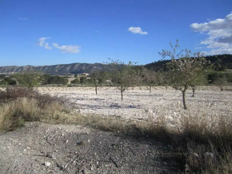 Casa en venda a Salinas, imagen 21