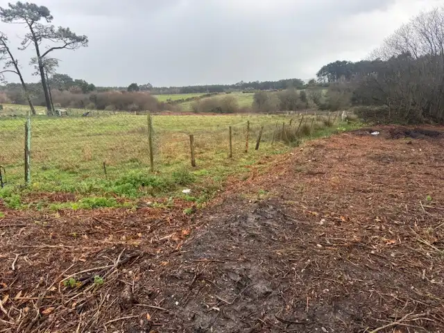 Terreno residencial en venta en Castropol, imagen 10