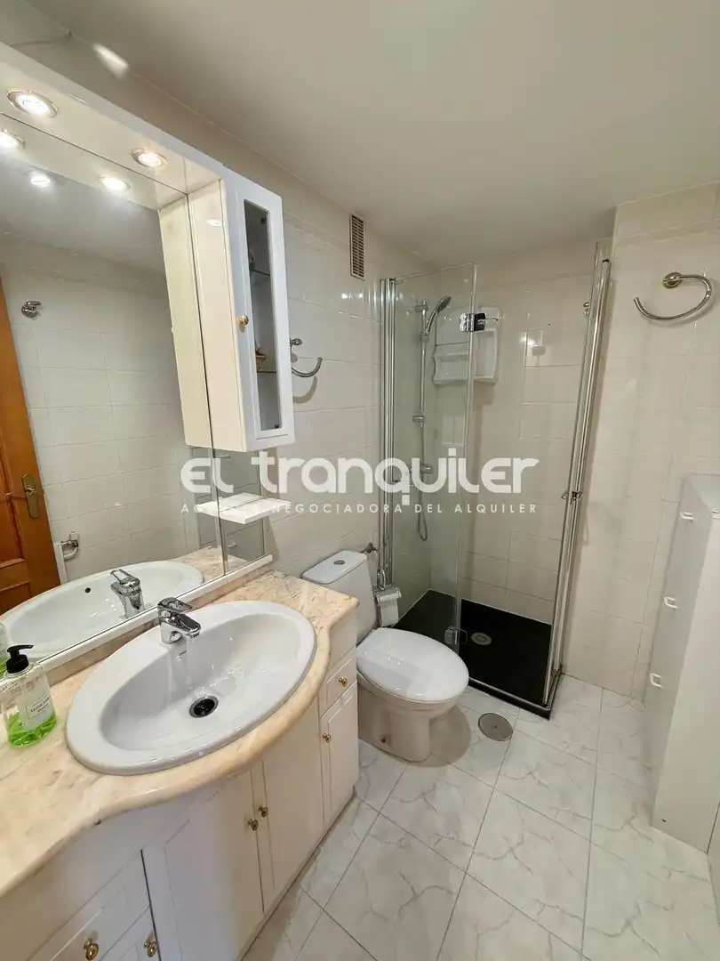 Bathroom of Flat for rent in Madrid  with Air Conditioner, Parquet flooring and Furnished