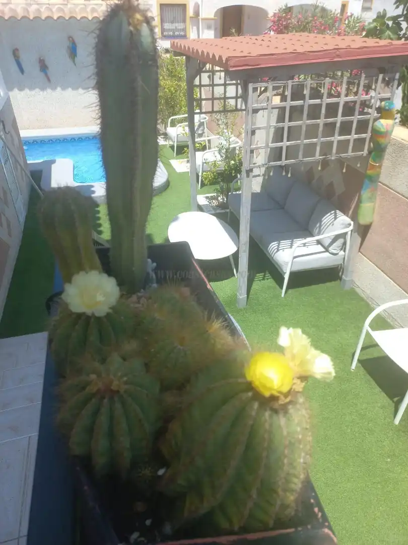 Terraza de Casa o chalet en venta en Orihuela con Aire acondicionado, Calefacción y Trastero
