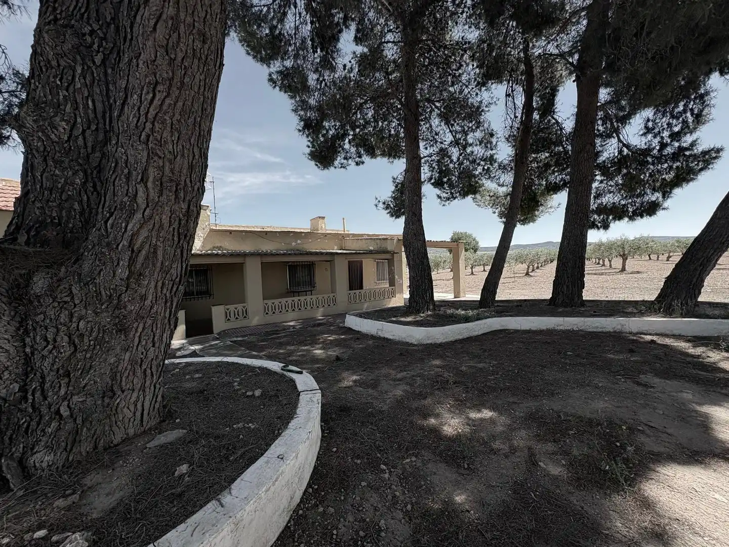 Exterior view of Houses for sale in Almansa  with Heating, Swimming Pool and Furnished