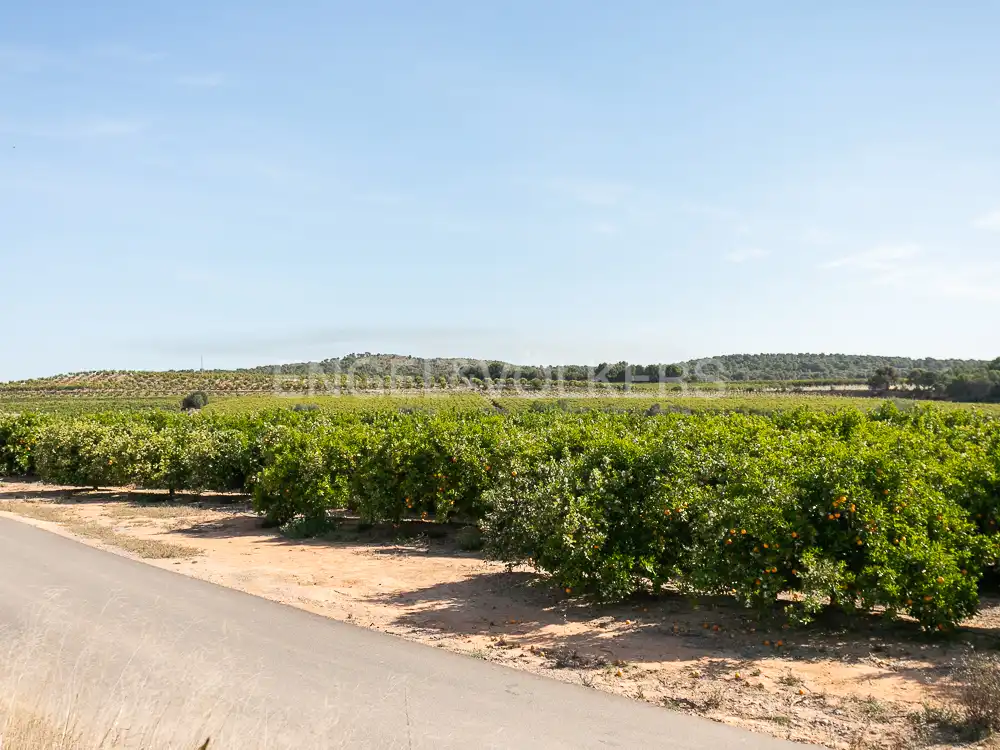 Terrenos y solares en venta en Pedralba, imagen 9