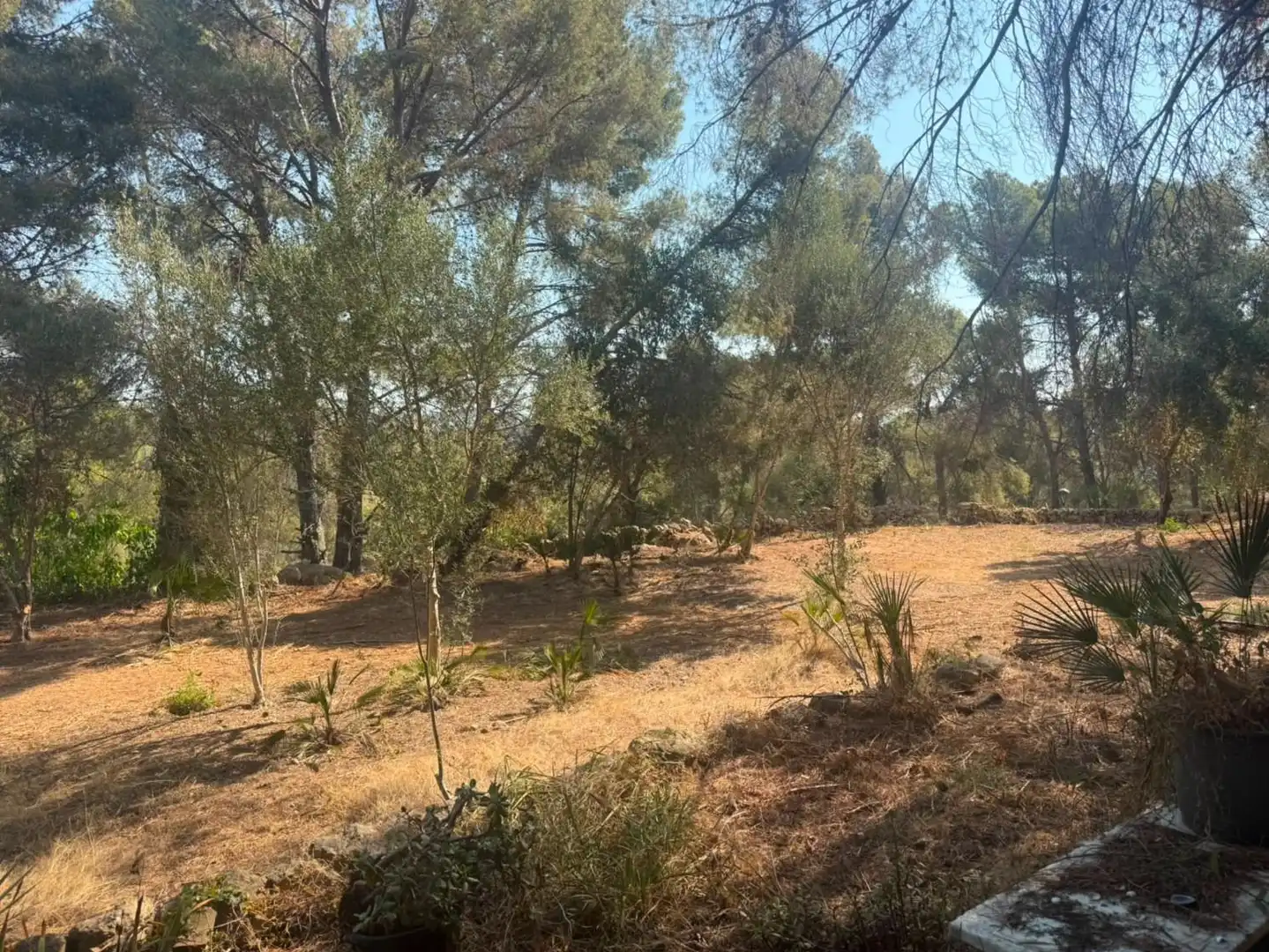Piso en venta en Cunit