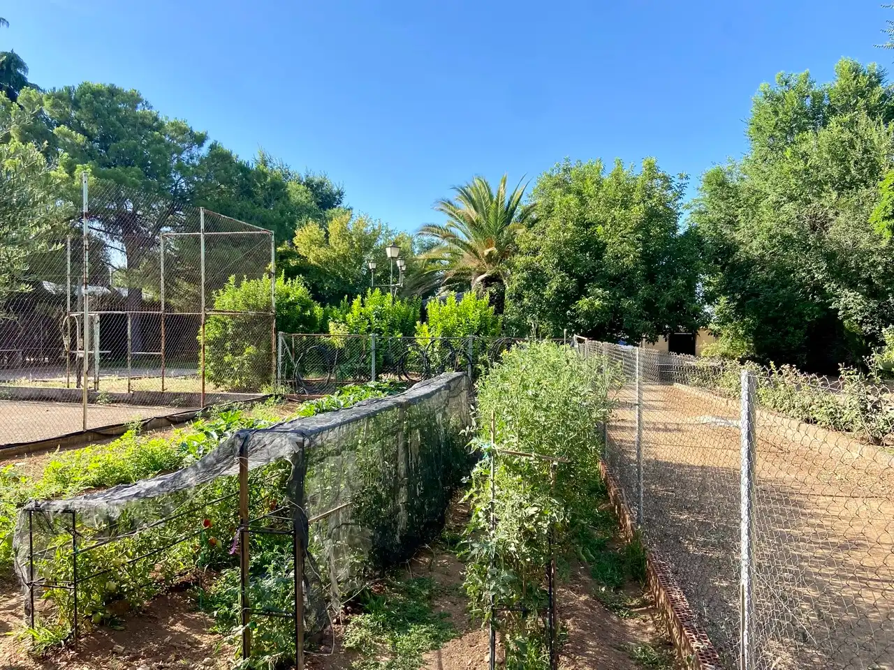 Jardín de Casa o chalet en venta en Ciudad Real con Aire acondicionado, Calefacción y Jardín privado