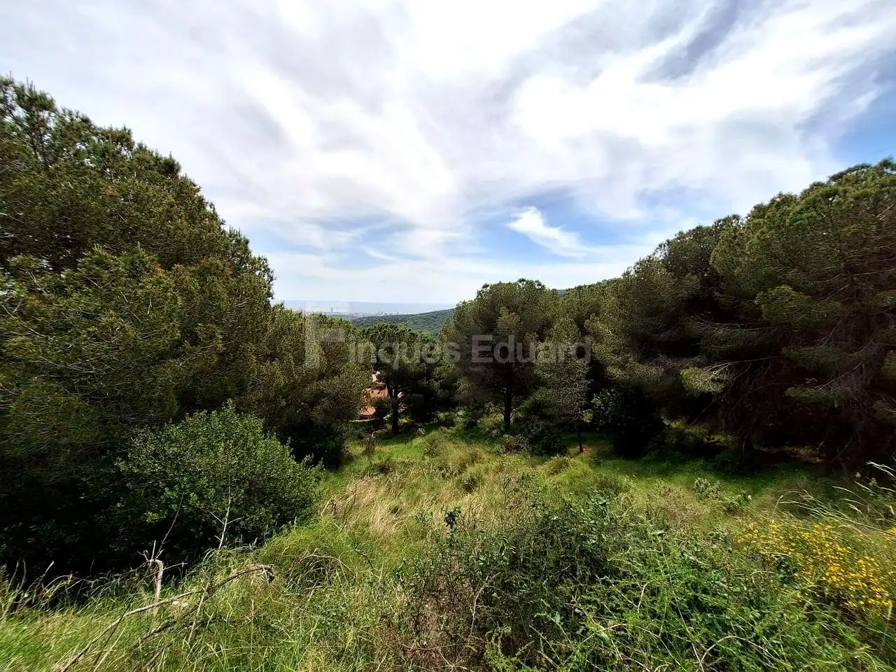 Lands and plots for sale in Nucli Urbà, imagen 3