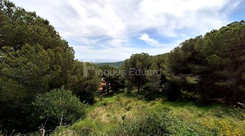 Terreno forestal en venta en Argentona  13.597 m de naturaleza y tranquilidad, imatge 3