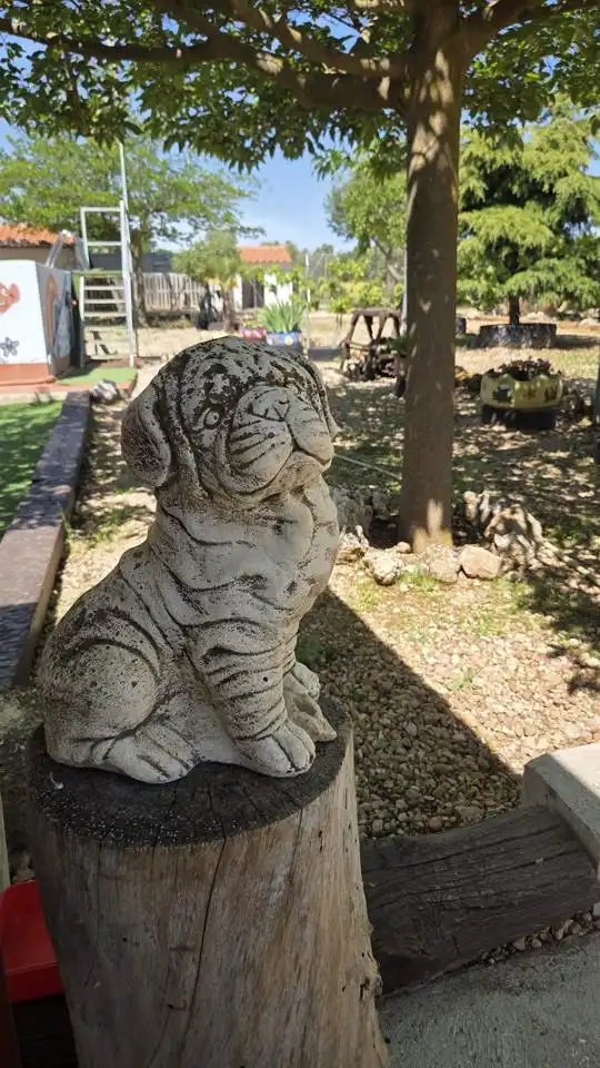 Jardín de Casa o chalet en venta en Tarancón con Aire acondicionado, Piscina y Amueblado