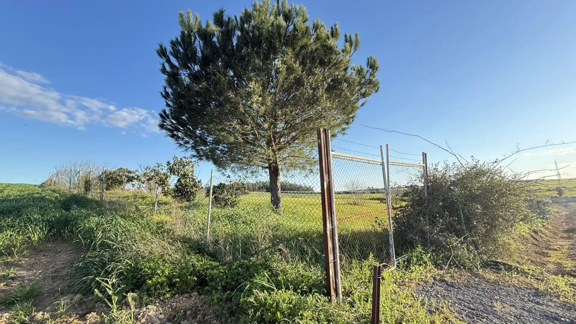 Terreno en venta en Gibraleón