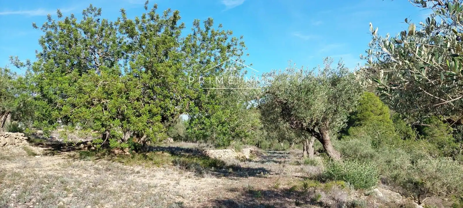 Terrain rustique à vendre à Rasquera, imagen 19