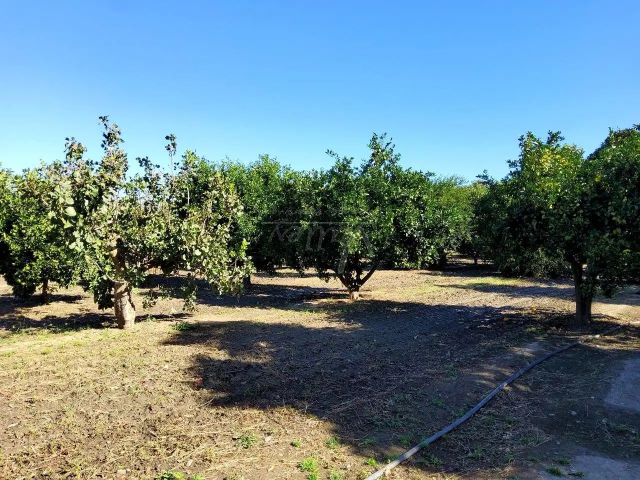 Terreni e lotti in vendita a San Enrique - Guadiaro -  Pueblo Nuevo, imagen 7