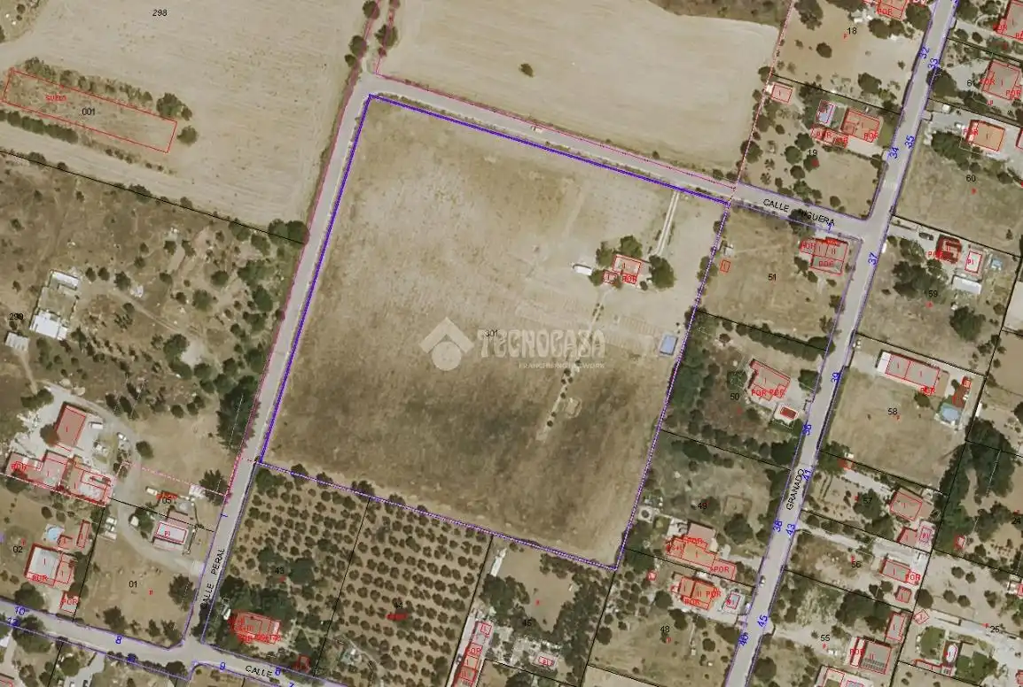 Terreny rústic en venda a Valdeavero, imagen 3