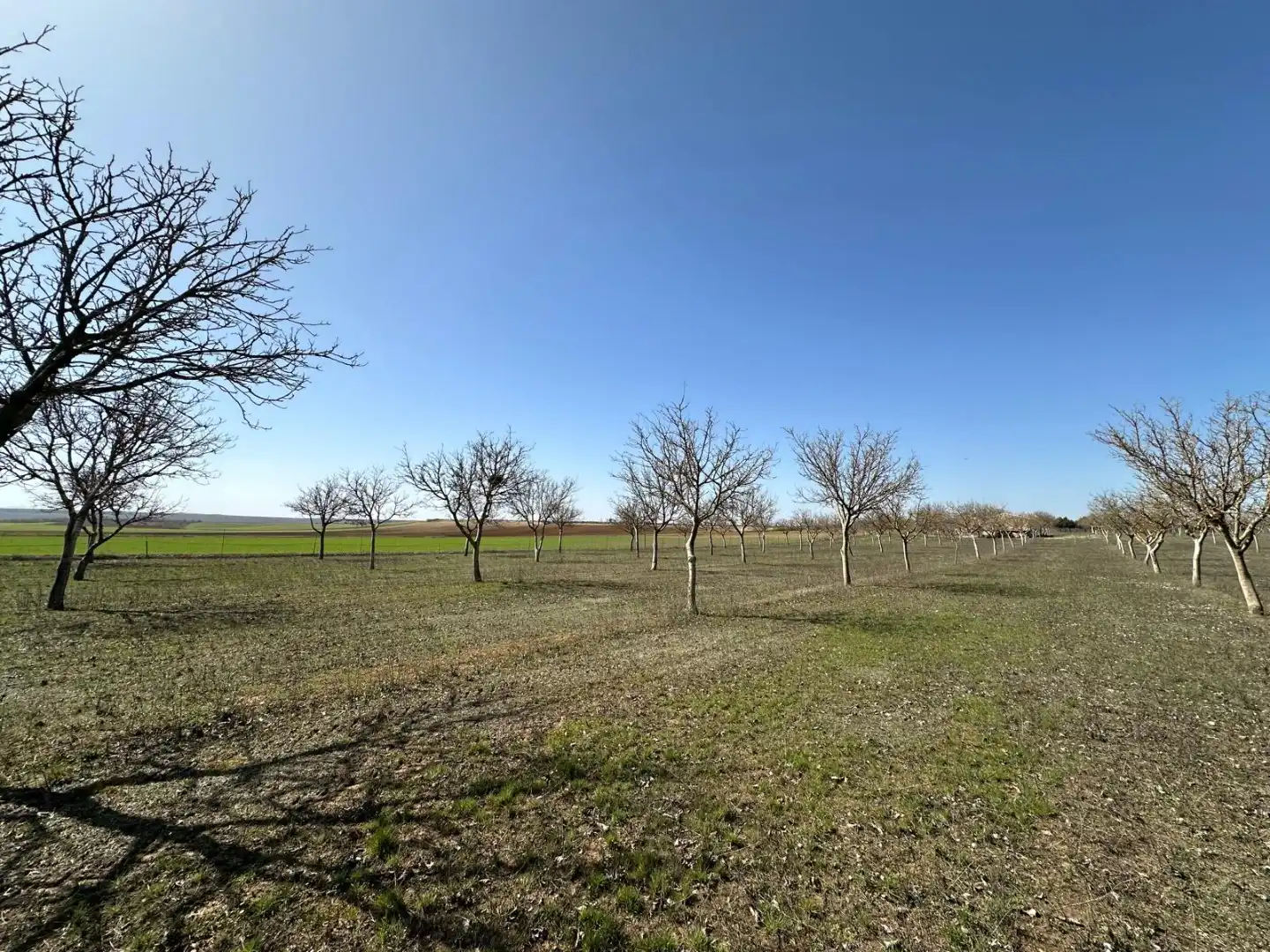 Houses for sale in Arlanzón  with Private garden