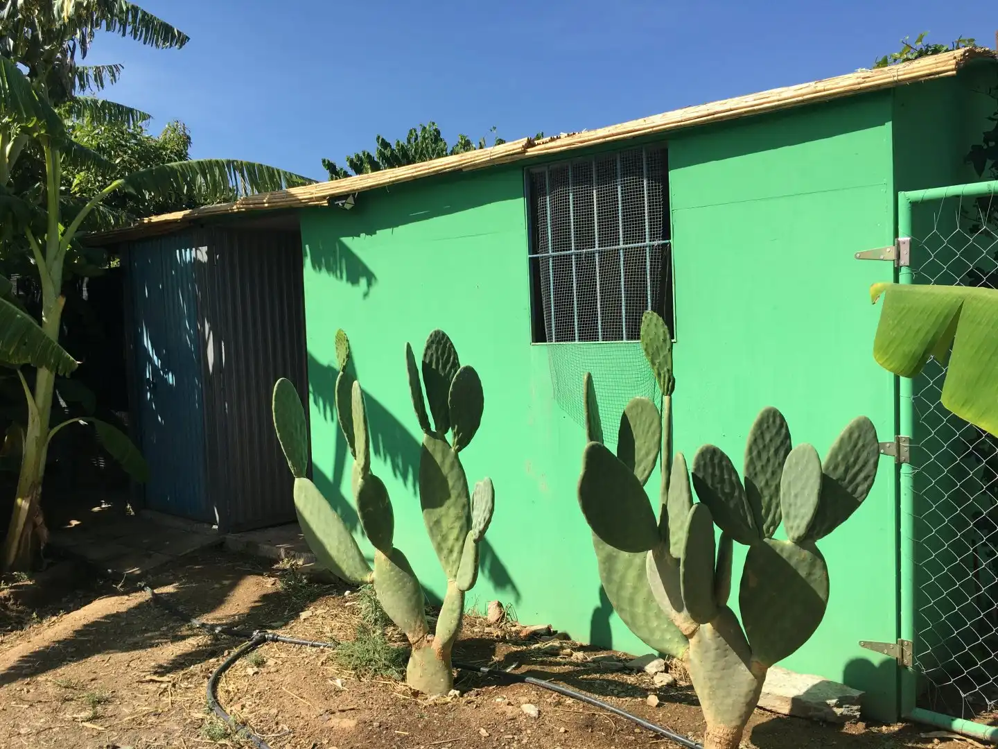 Casa rústica en venda a Monte los Almendros - El Pargo - Costa Aguilera, imagen 38