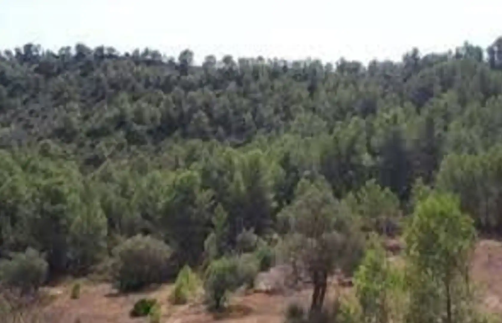 Country homes for sale in La Torre de l'Espanyol