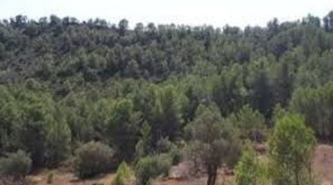 Photo 3 of Country homes for sale in La Torre de l'Espanyol, Tarragona