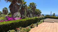 Jardí de Casa o xalet en venda en Alella amb Terrassa i Piscina