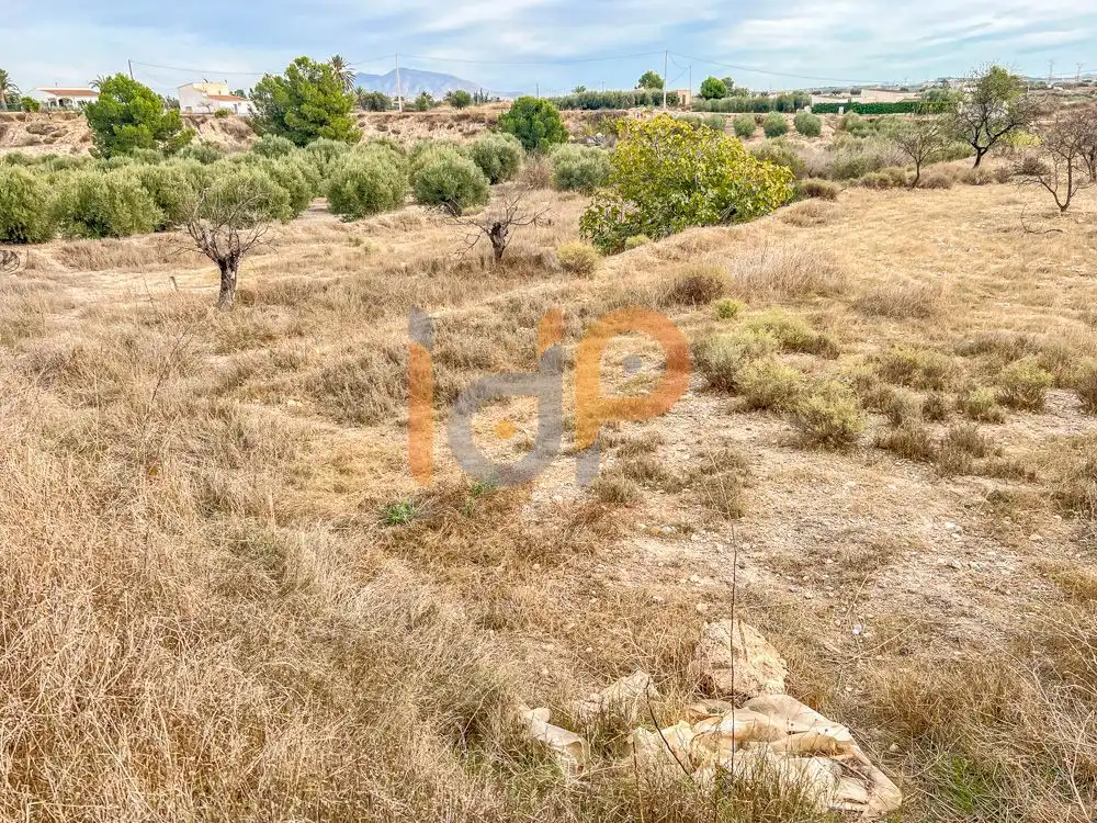 Terrain rustique à vendre à Huércal-Overa, imagen 4