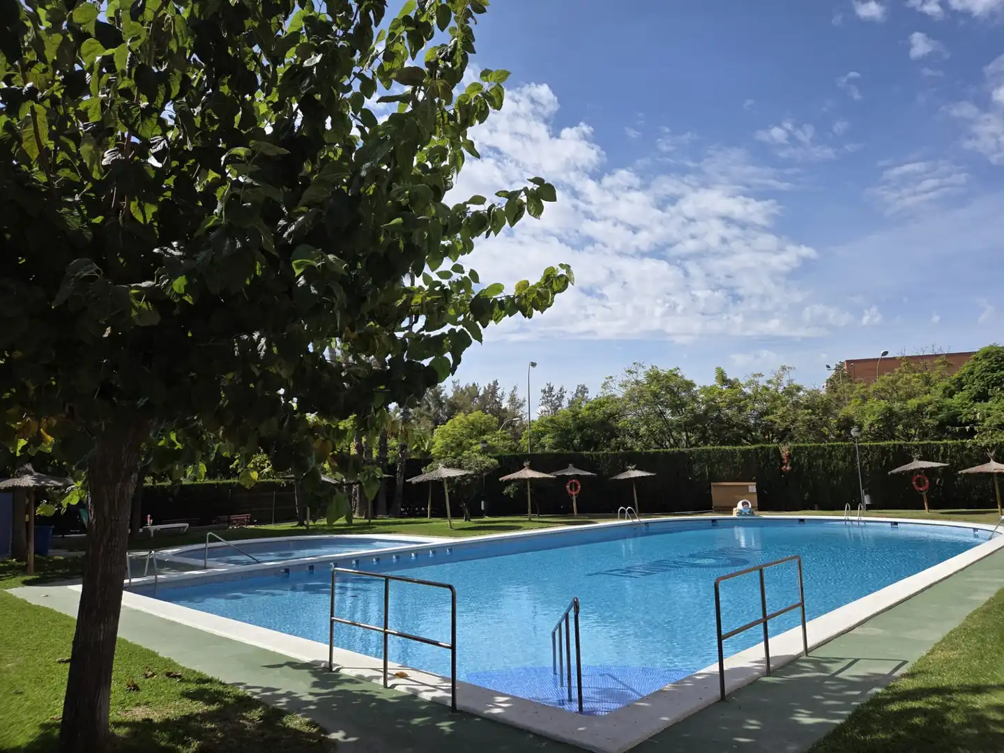 Swimming pool of Flat for sale in Benalúa - Babel
