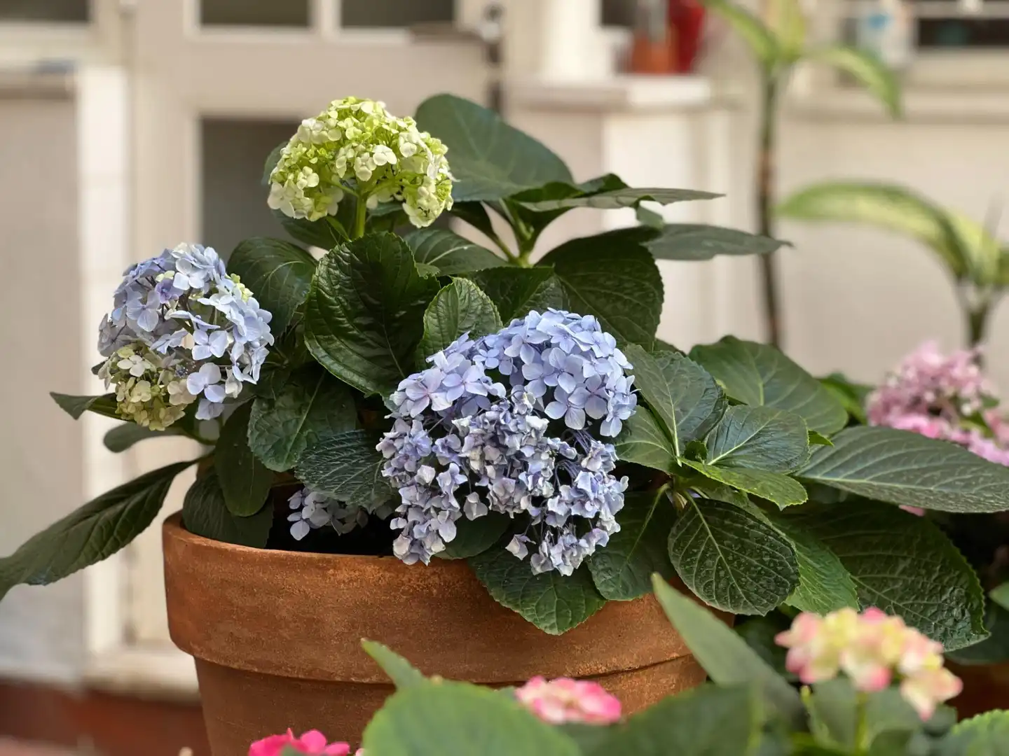 Garden of Flat for sale in Málaga  with Air Conditioner and Heating