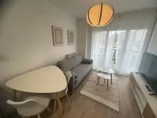Sala d'estar de Apartament de lloguer en León Capital  amb Calefacció, Parquet i Terrassa