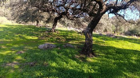 Photo 5 of House or chalet for sale in Montánchez, Cáceres