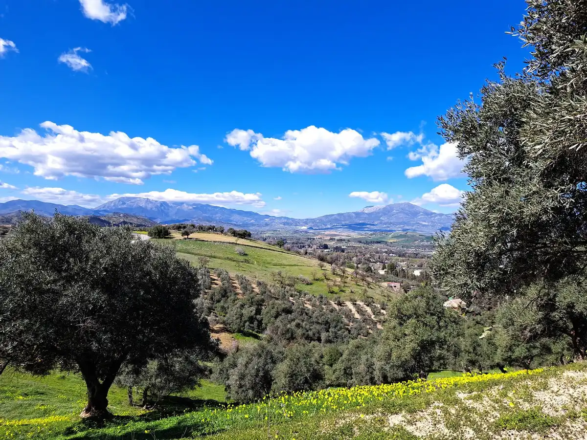 Terreni e lotti in vendita a Coín, imagen 14