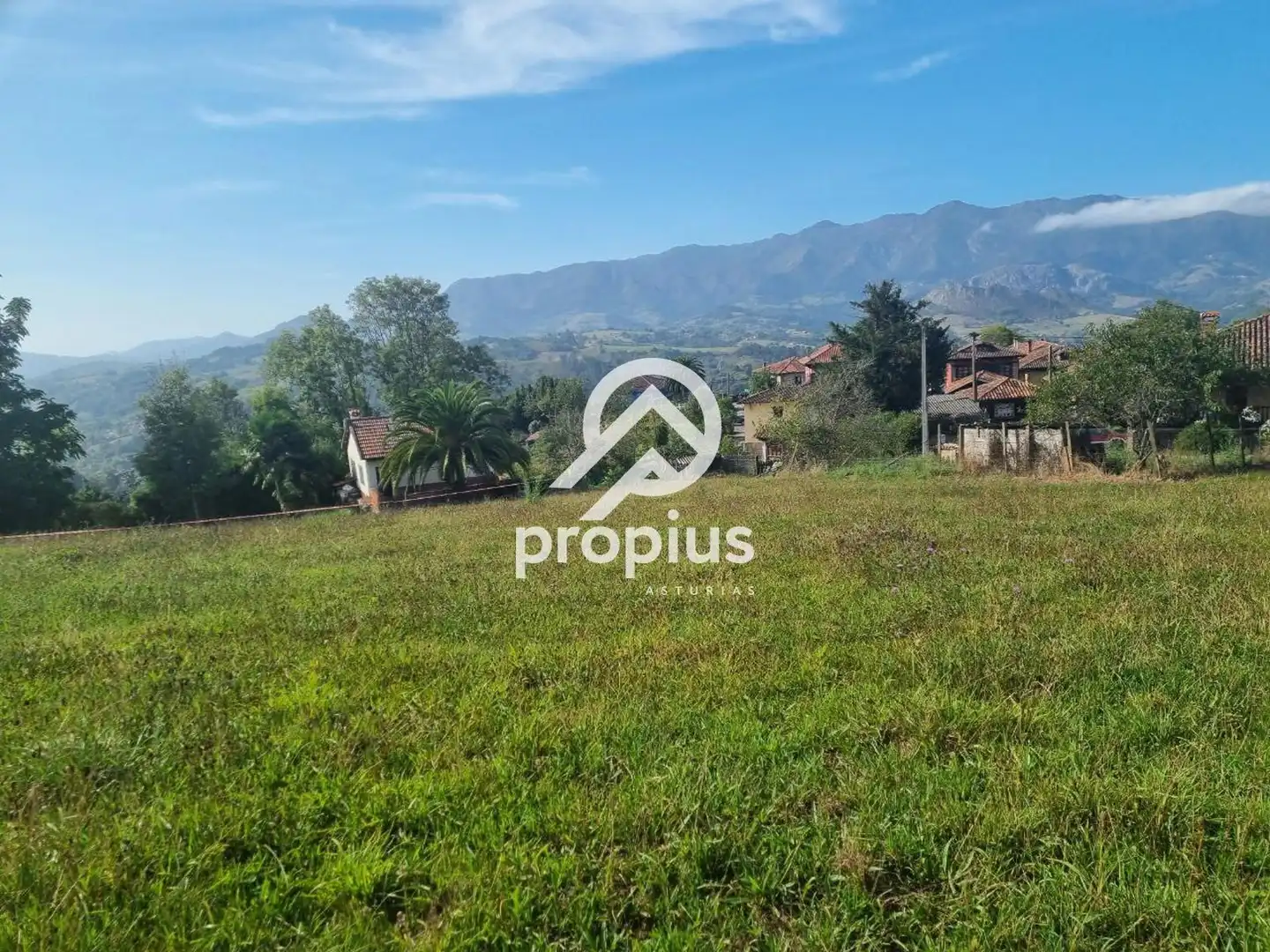 Rural land for sale in Arenas, imagen 12