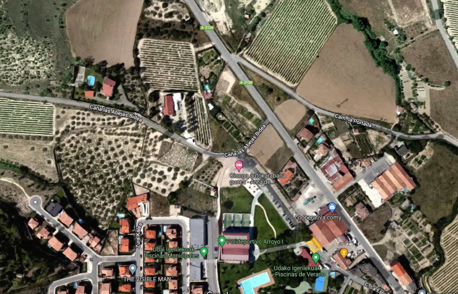 Terreny rústic en venda a Oyón-Oion - AVENIDA DIPUTACION, imagen 6