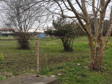 Terreno rustico in vendita a Galizano