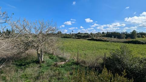 Photo 5 of Residential for sale in Manacor Centre, Illes Balears