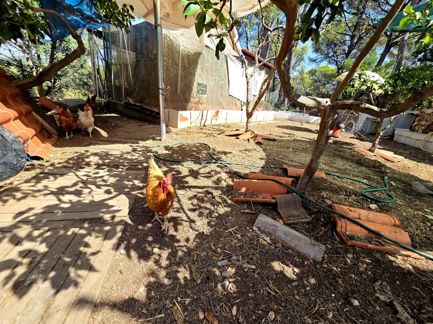 Casa rústica amb piscina en venda a Sagunto ciudad, imagen 49