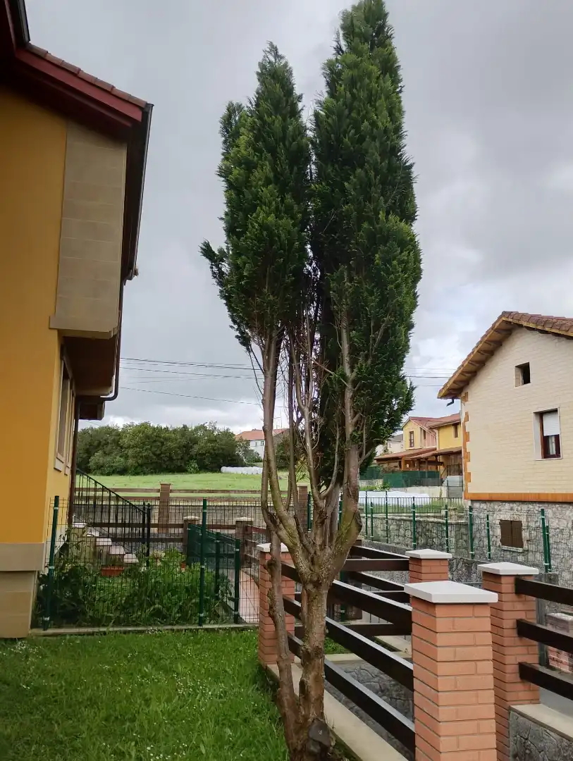 Casa o chalet en venta en Castro-Urdiales con Calefacción, Jardín privado y Terraza
