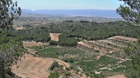 Magnifica parcela de 11.500m2