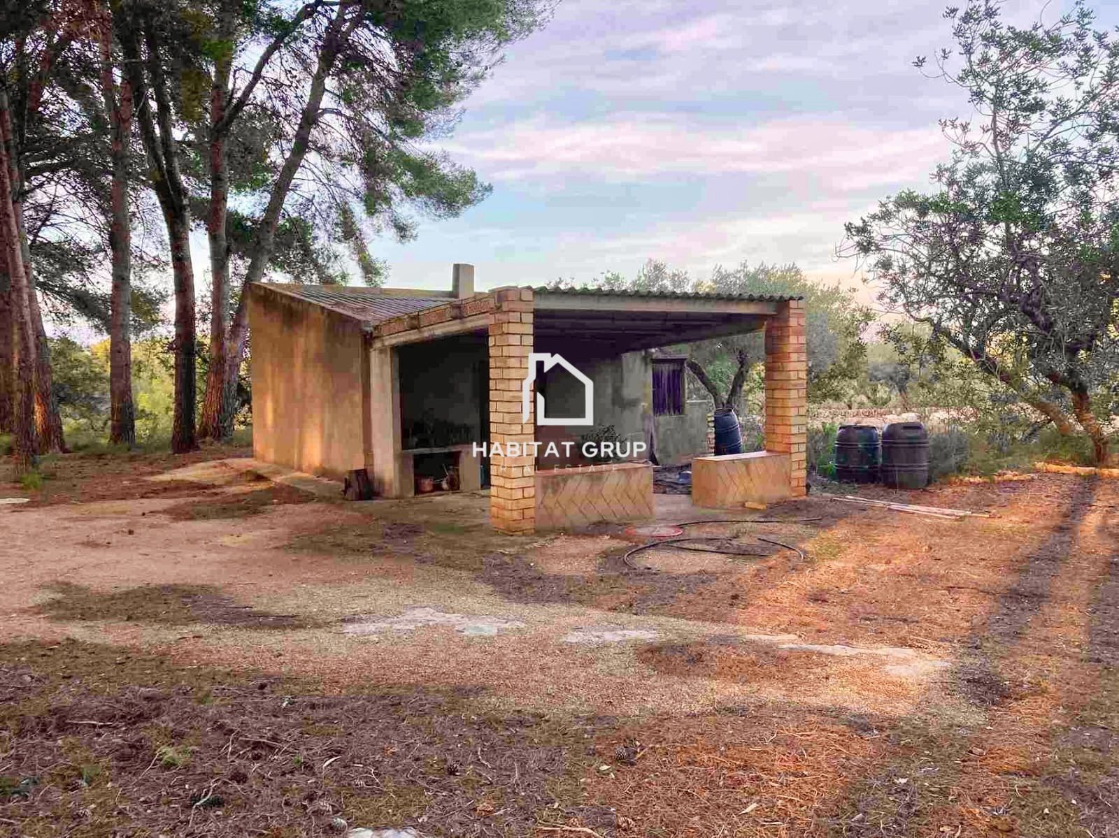 Casa o xalet en venda en El Perelló amb Jardí privat i Terrassa