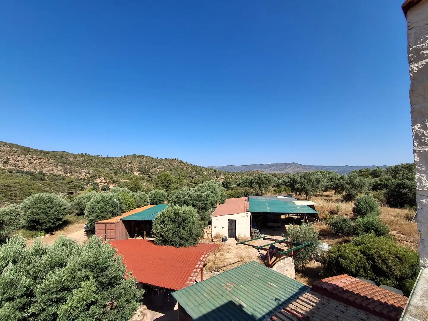 Finca rústica en venda en Riba-roja d'Ebre
