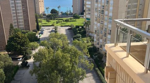 Foto 5 de Apartamento de alquiler en Lomas de Cabo Roig - Los Dolses, Orihuela