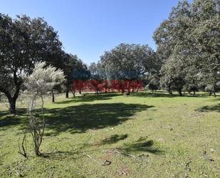 Country house zum verkauf in Valdehúncar