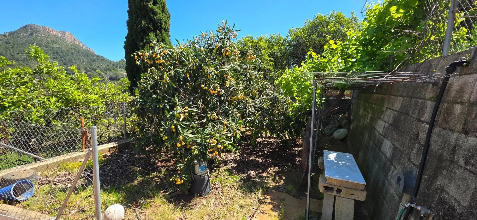 Jardí de Casa o xalet en venda en Alzira amb Aire condicionat, Jardí privat i Traster