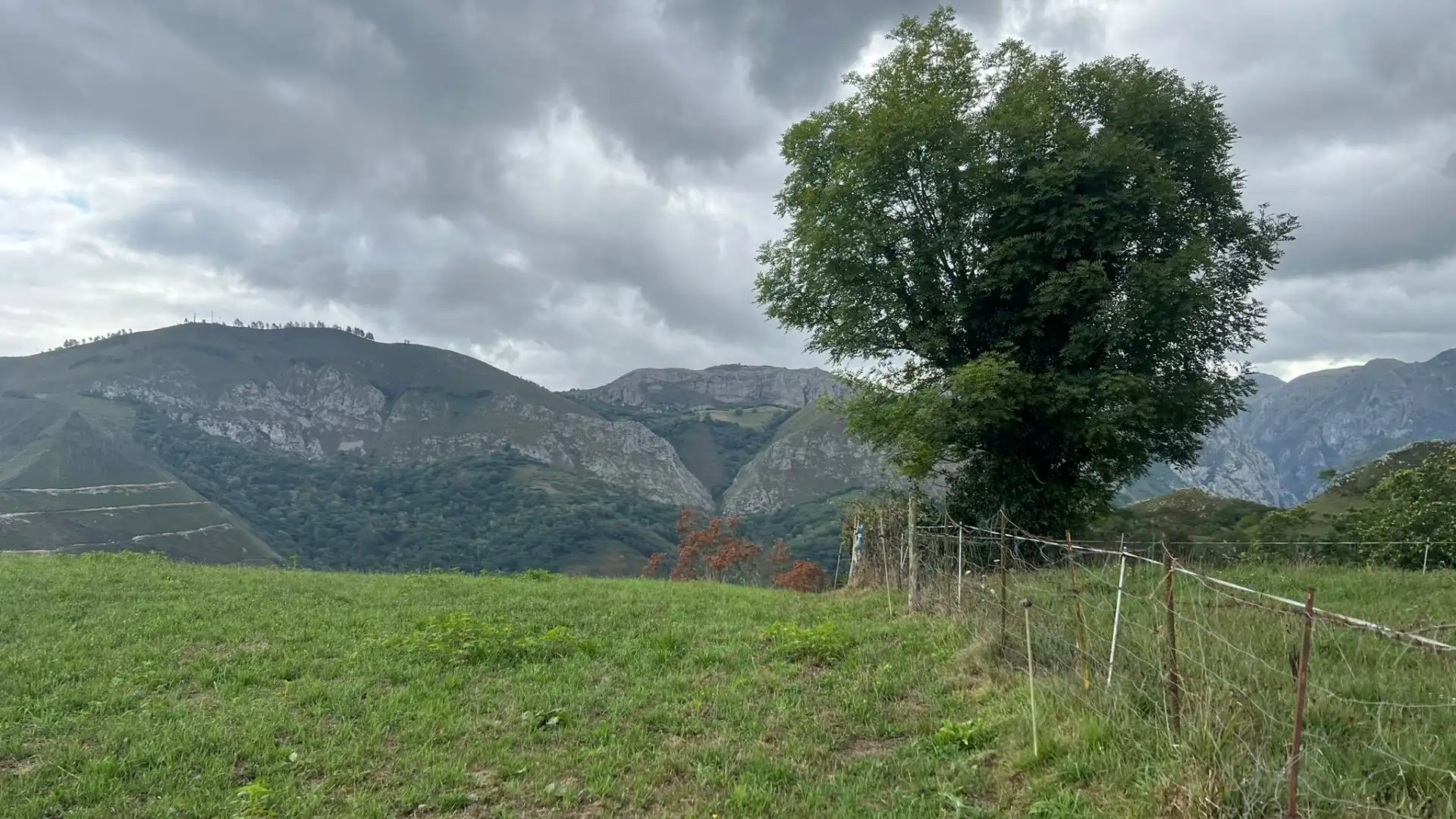 Terrenos y solares en venta en Parres, imagen 10