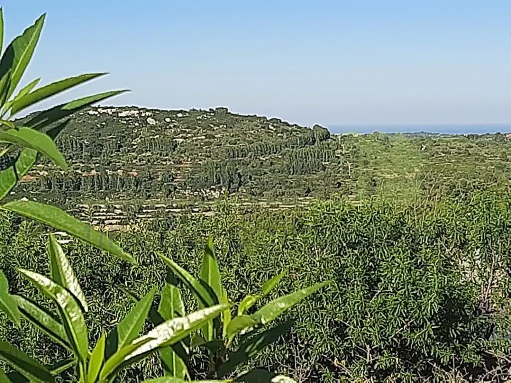 Terreny residencial en venda a Cervera del Maestre